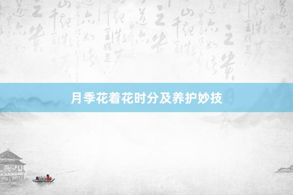 月季花着花时分及养护妙技