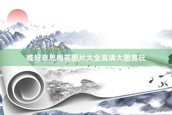 唯好意思梅花图片大全高清大图赏玩