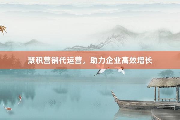 聚积营销代运营，助力企业高效增长